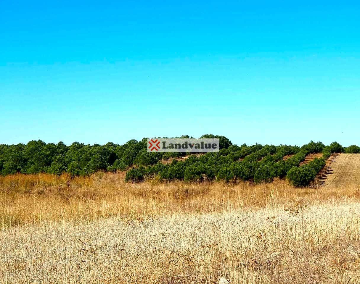 Land for sale in Rágama