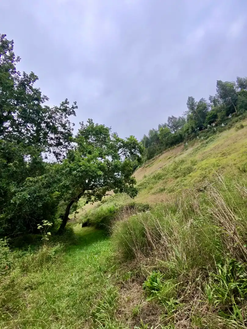 Terreno en venta en Villaviciosa