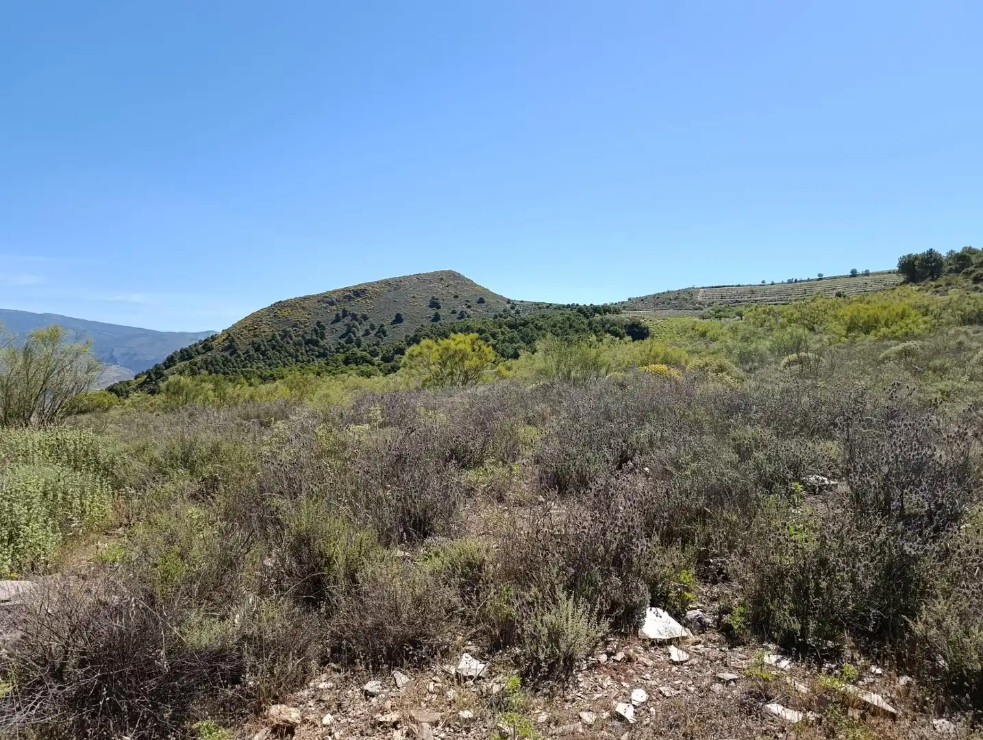 Terrenys i solars en venda a Laujar de Andarax, imagen 5