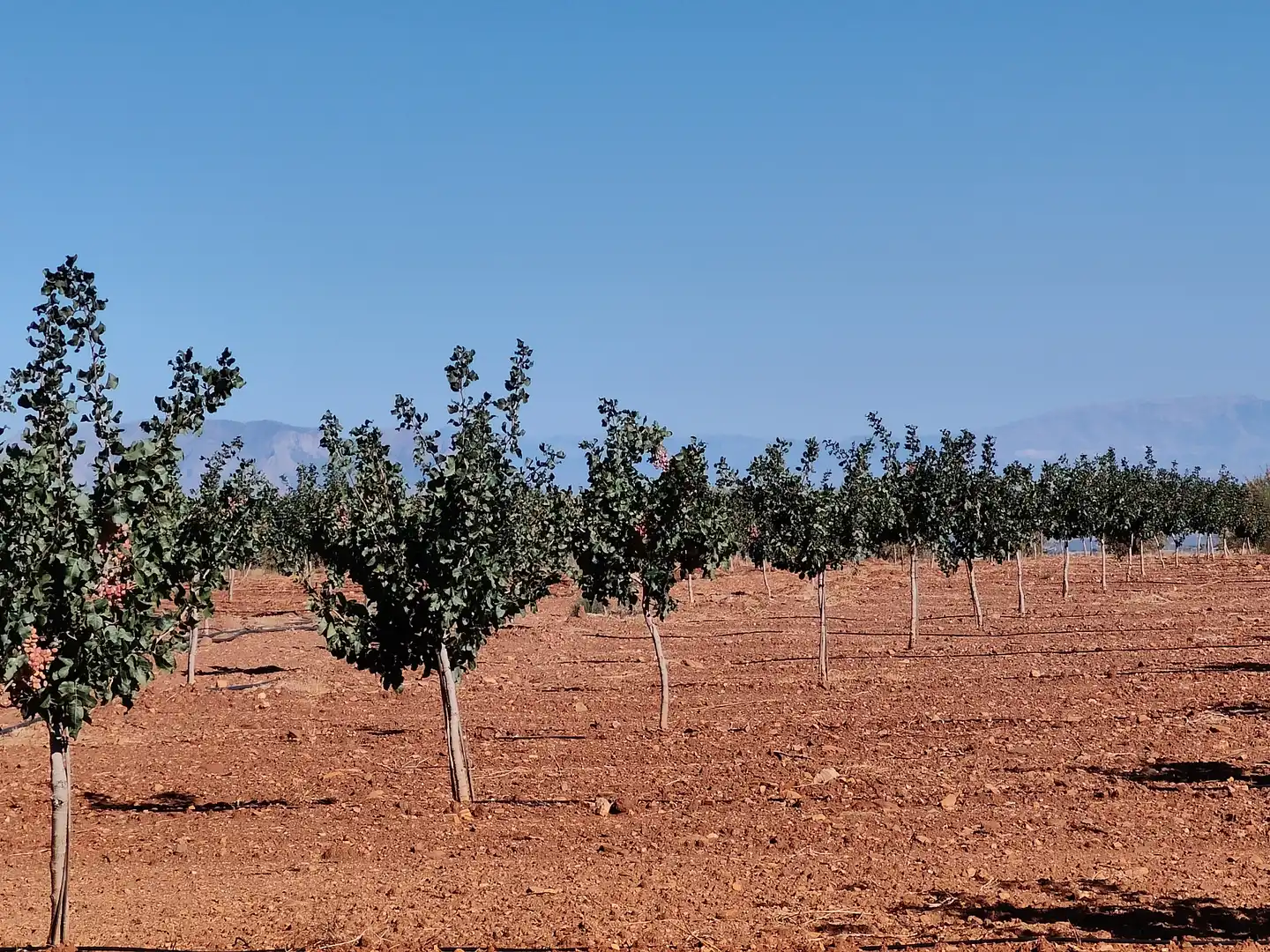 Terreno rustico in vendita a N/A, imagen 11