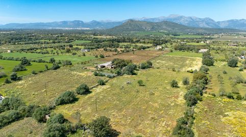 Mehrere Grundstücke mit Traumblick bei Llubí  Ideale Fläche für Neubauprojekte auf Mallorca, Obj. 9673