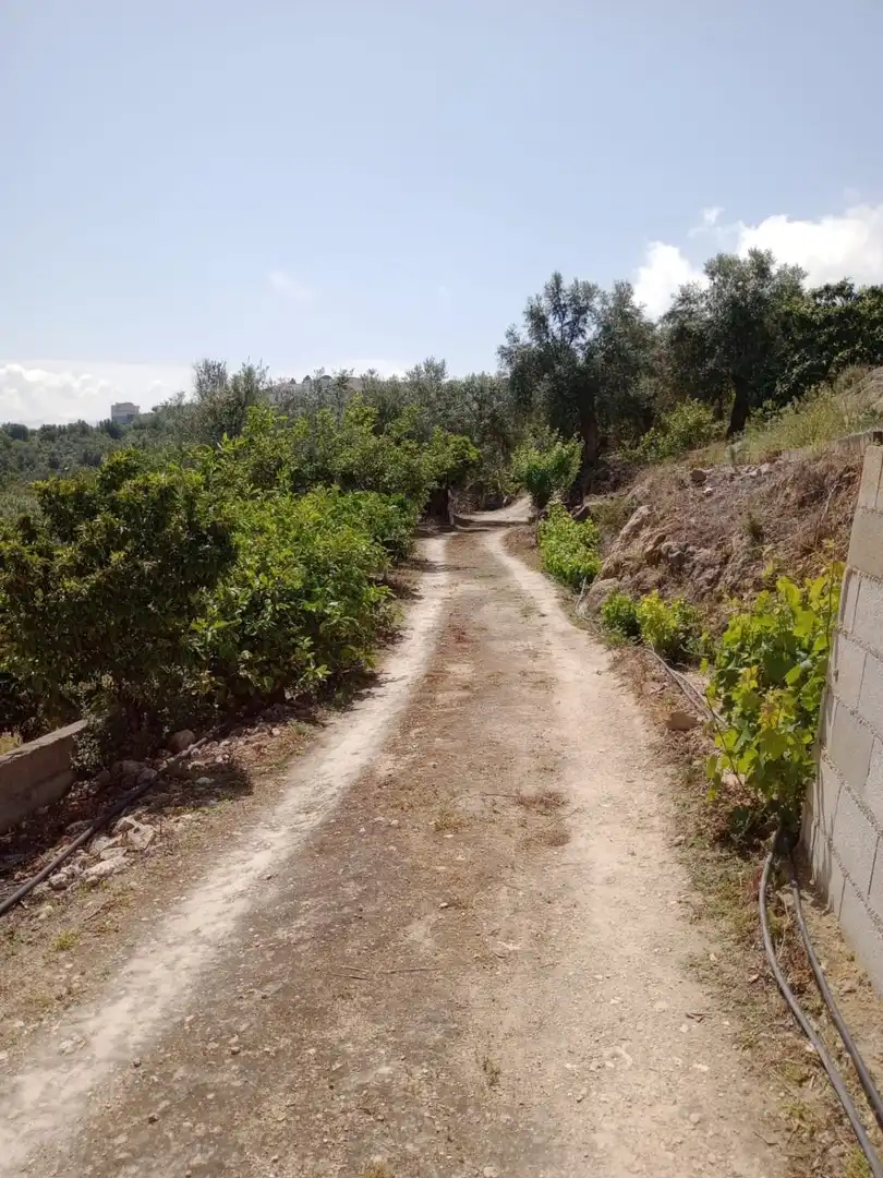 Terreni e lotti in vendita a El Valle, imagen 6