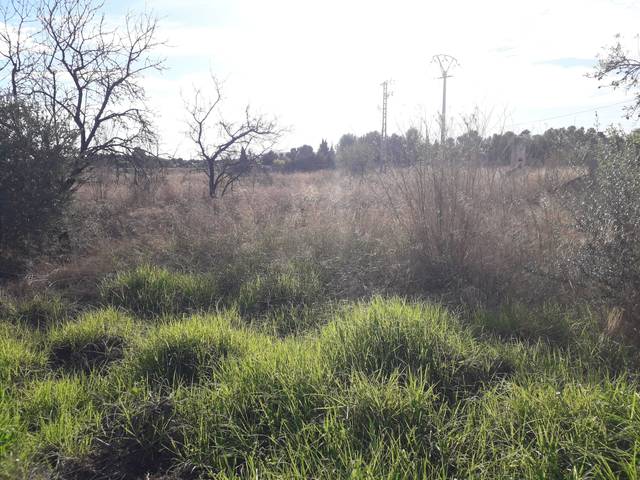 Terreno residencial en Venta en Los Girasoles