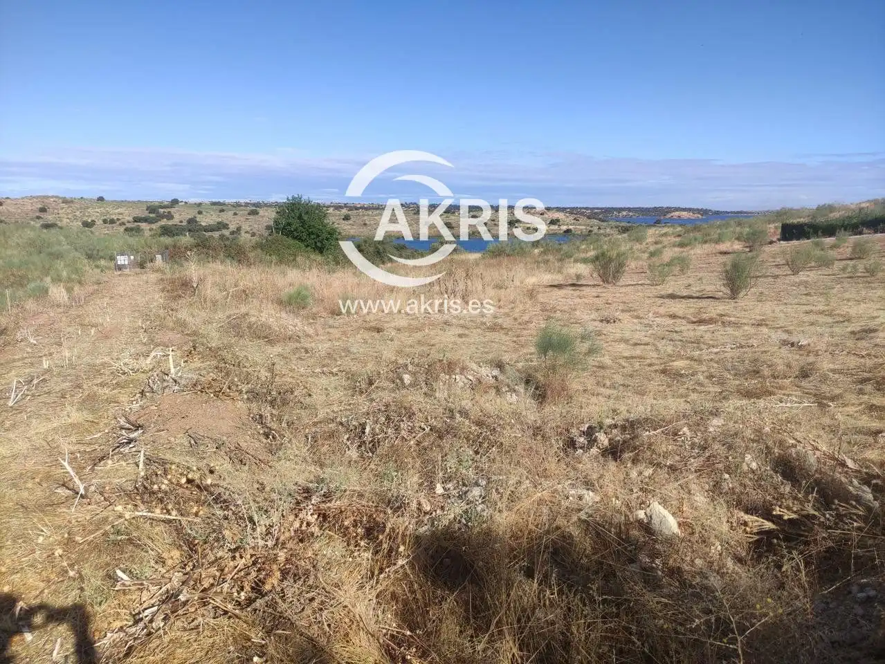 Terreno rustico in vendita a del Avefría, imagen 3