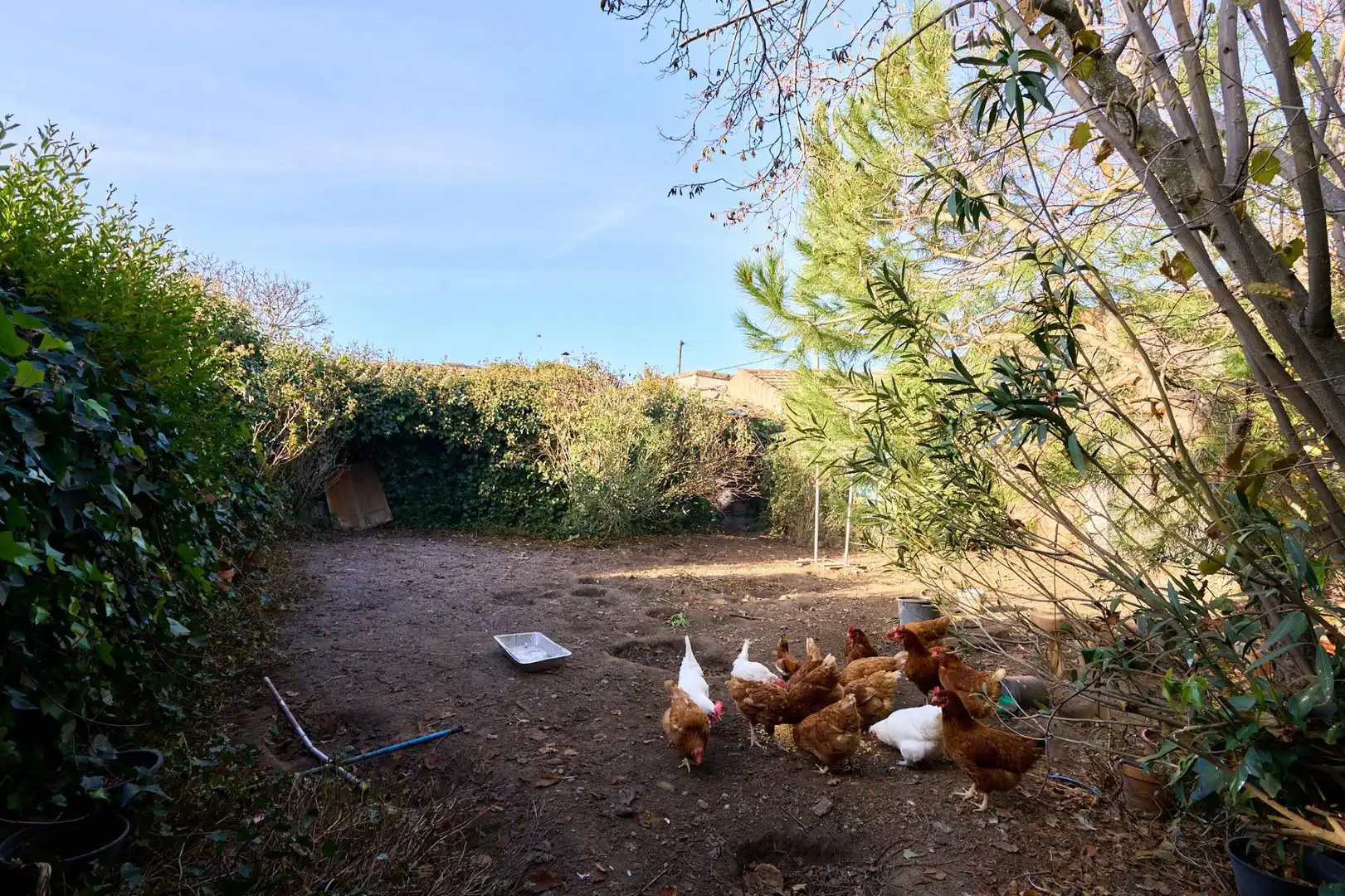 Finca rústica en venta en La Maya  con Jardín privado, Terraza y Trastero