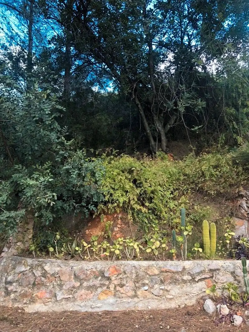 Country house with garden for sale in Almoines, imagen 10