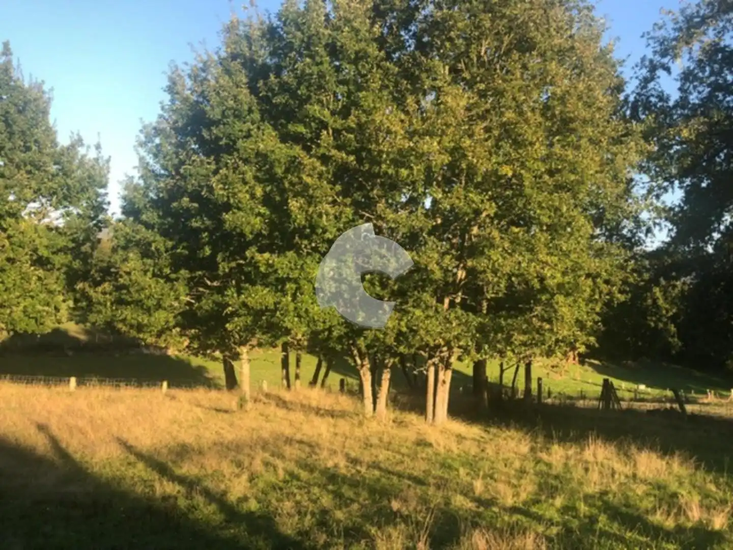 Terreni e lotti in vendita a Nogueira de Ramuín, imagen 22