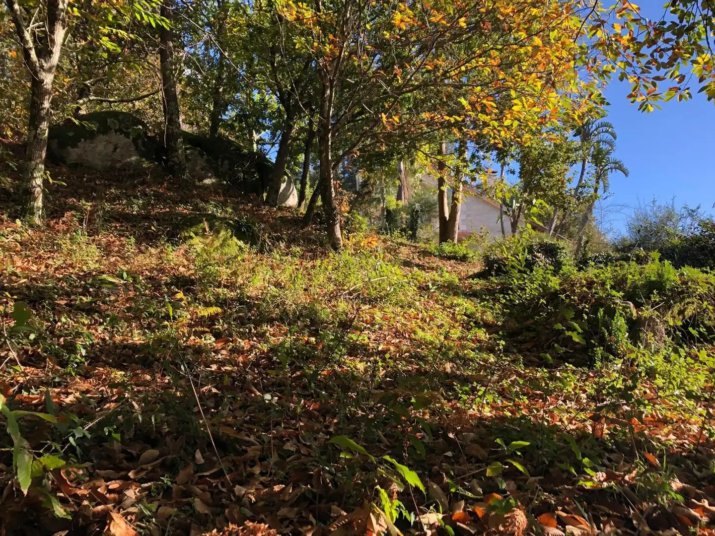Casa o chalet en venta en Caldas de Reis