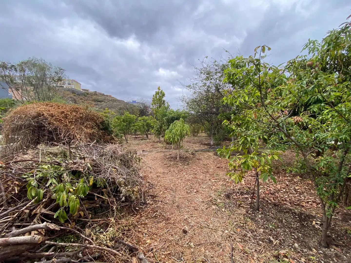 Residential land for sale in Camino la Cueva del Rey 8, imagen 25