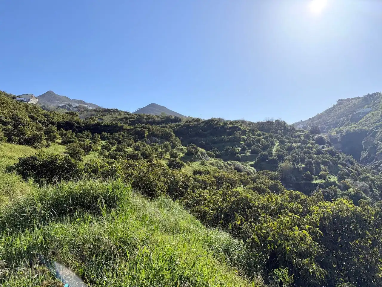 Exterior view of Land for sale in Canillas de Albaida