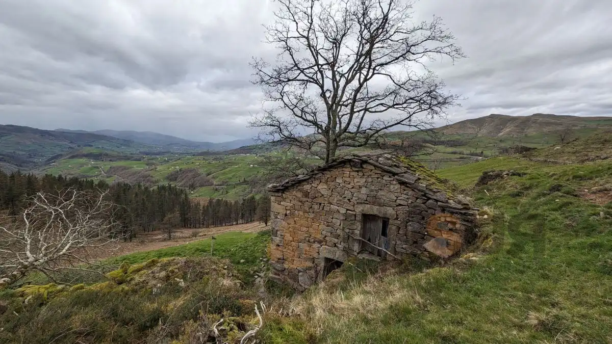 Vista exterior de Finca rústica en venta en Selaya