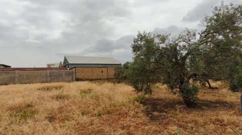 Foto 3 de Pis en venda a Polígono Parcela Tgf tunante., Pedanías Sur, Utrera