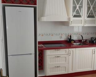 Kitchen of Flat to rent in  Huelva Capital  with Terrace and Furnished