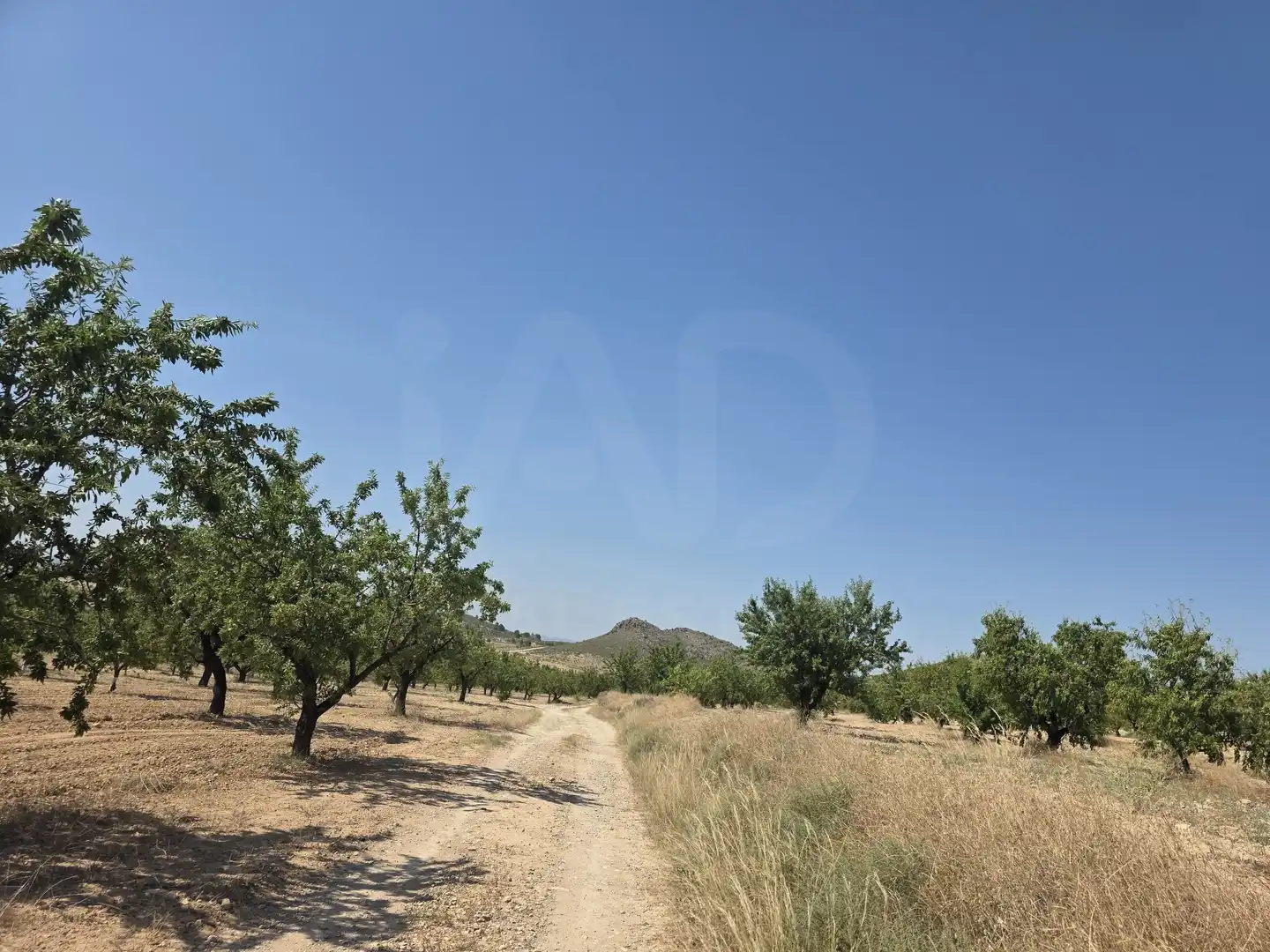 Terrenys i solars en venda a Cehegín, imagen 9