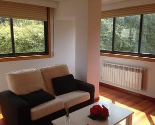 Sala d'estar de Pis de lloguer en Ourense Capital  amb Calefacció, Moblat i Rentadora