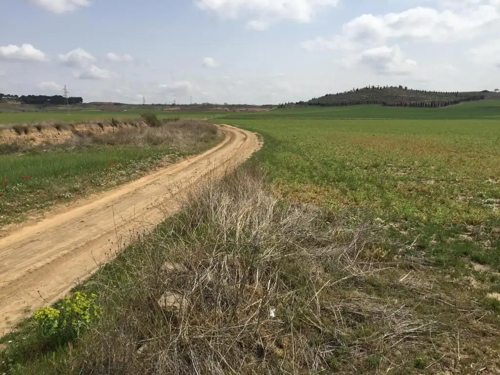 Residential for sale in Torres de la Alameda