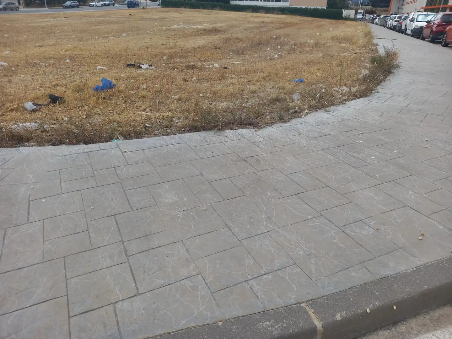 Terreno industriale in vendita a Pedanías Este