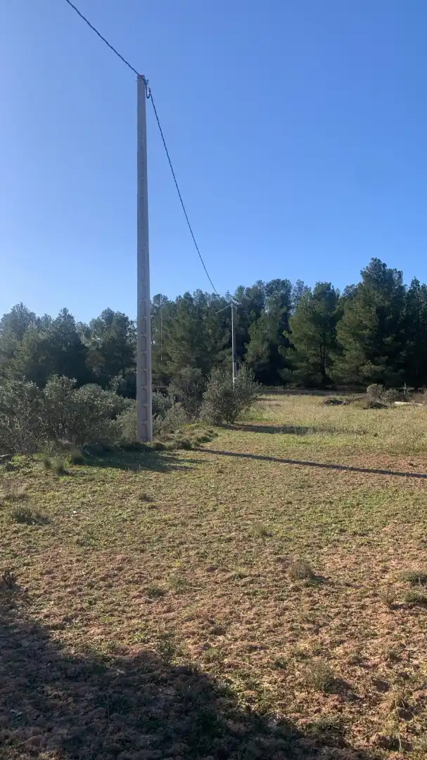 Terreno rustico in vendita a Ascó, imagen 5