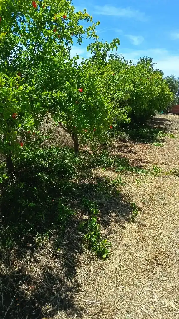 Finca rústica en venda en Llardecans
