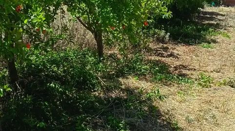 Foto 2 de Finca rústica en venta en Carrer Verge de Loreto, 22, Llardecans, Lleida