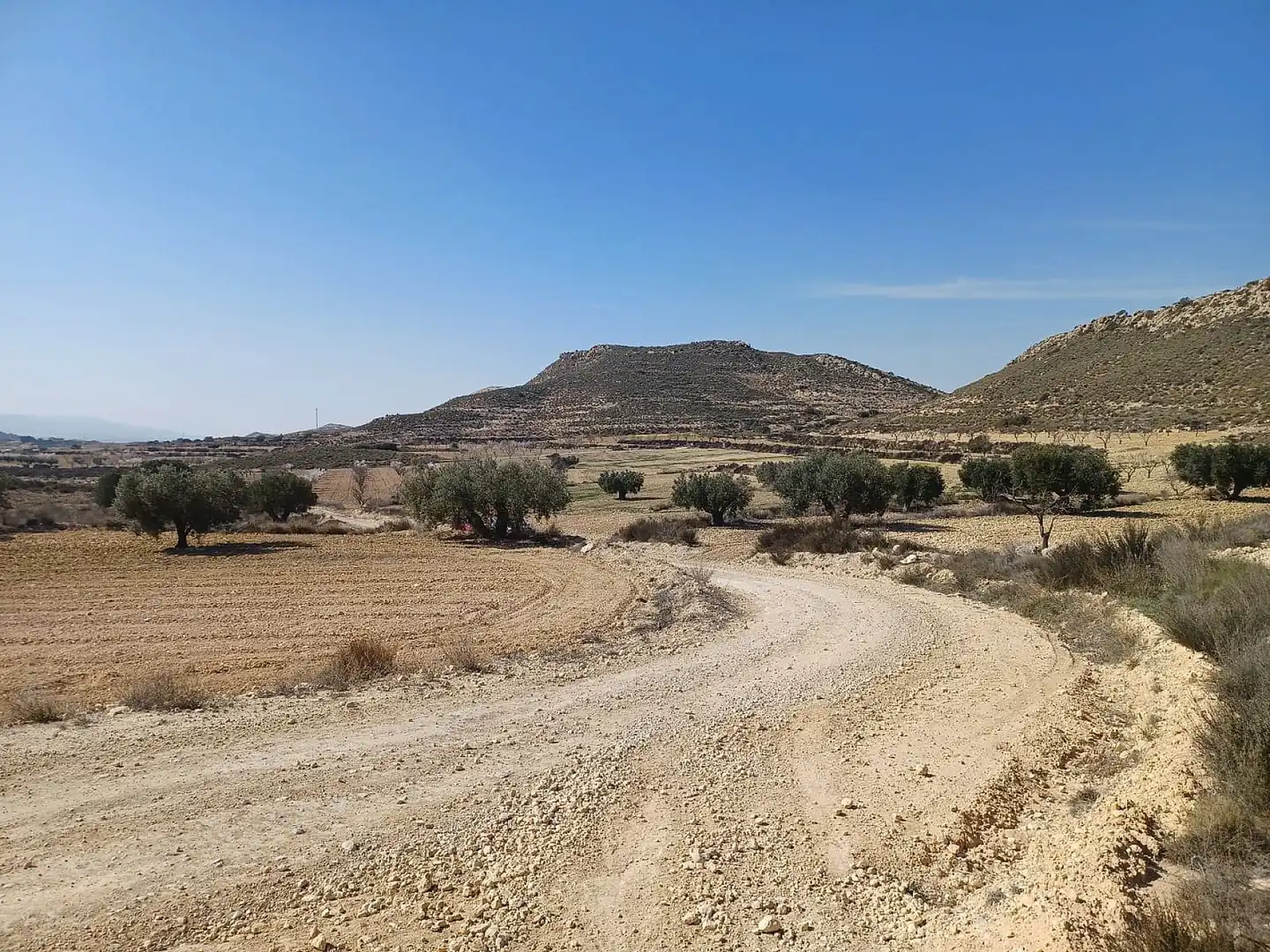 Terreno residencial en venta en El Pinós / Pinoso, imagen 6