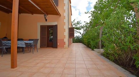 Photo 5 of Country homes for rent in Sa Pobla, Illes Balears