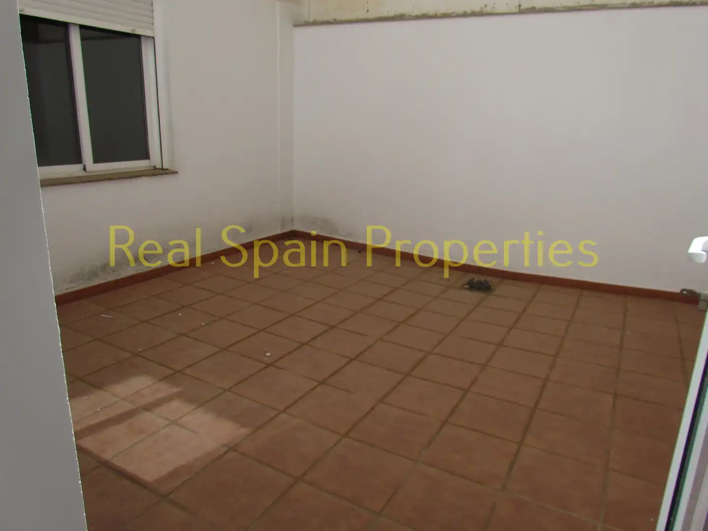 Local comercial en venda a Vélez-Rubio, imagen 6