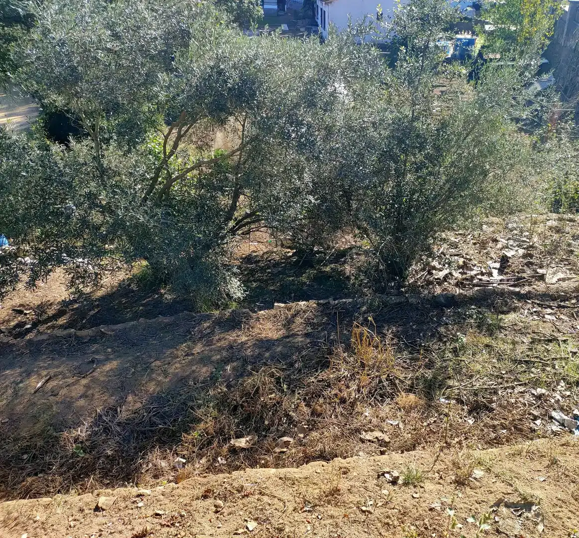 Casa o xalet en venda en Massanes amb Piscina