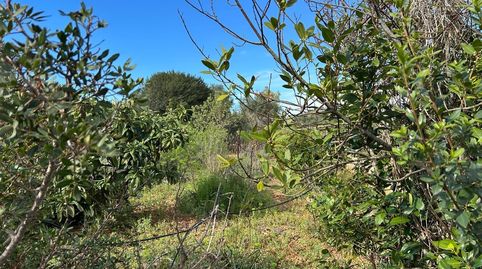 Foto 2 de Residencial en venta en Pòrtol, Marratxí