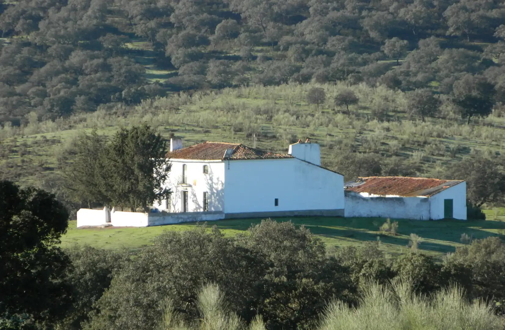 Rural land for sale in La Hispanidad - Verdeluz, imagen 12