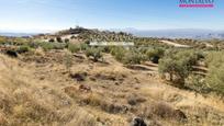 Land for sale in Nívar