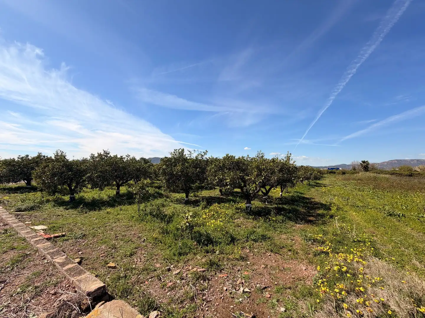 Rural land for sale in Almenara, imagen 16