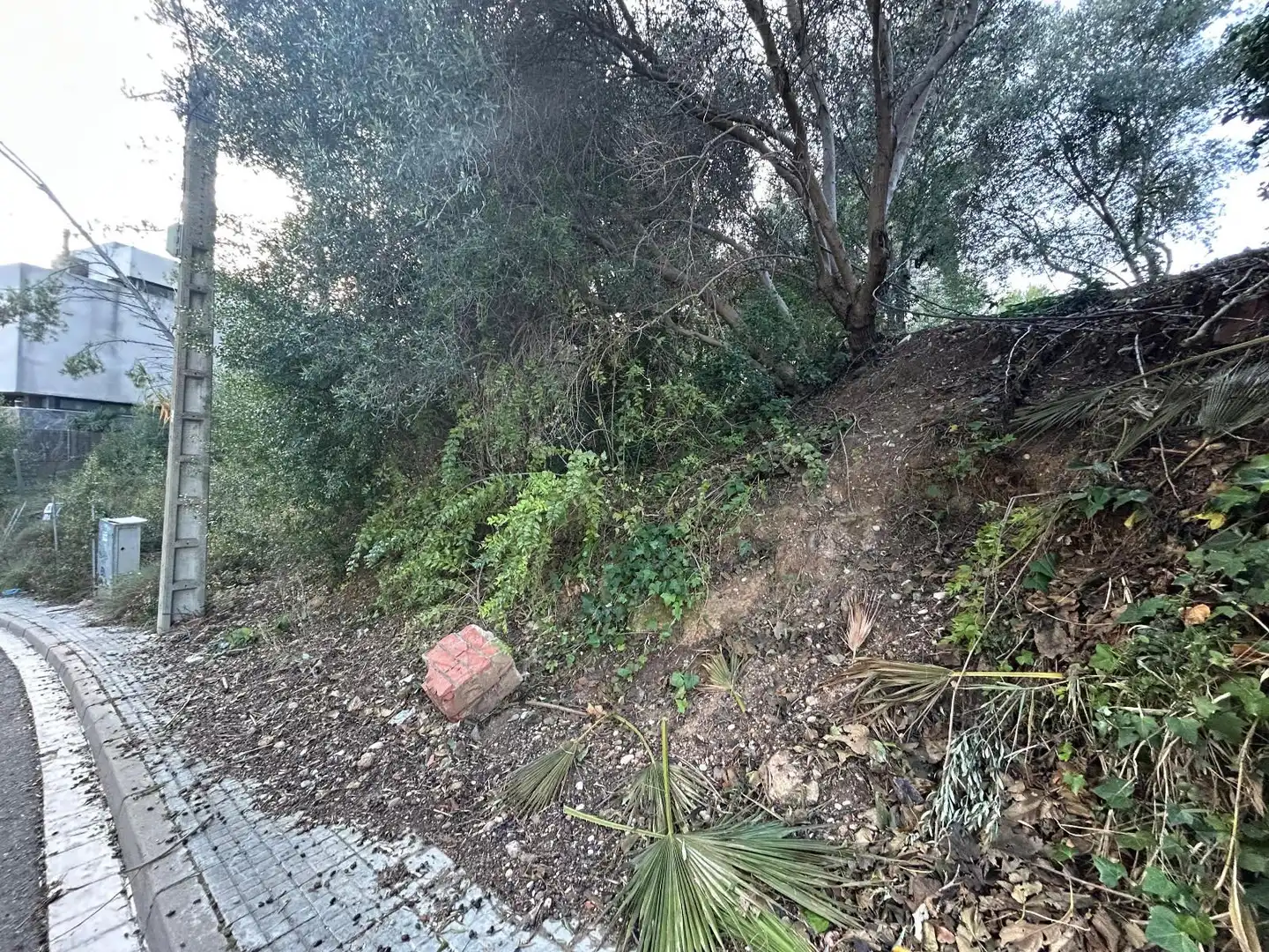 Rustikales Grundstück zum Verkauf in CAN FELIU, imagen 9