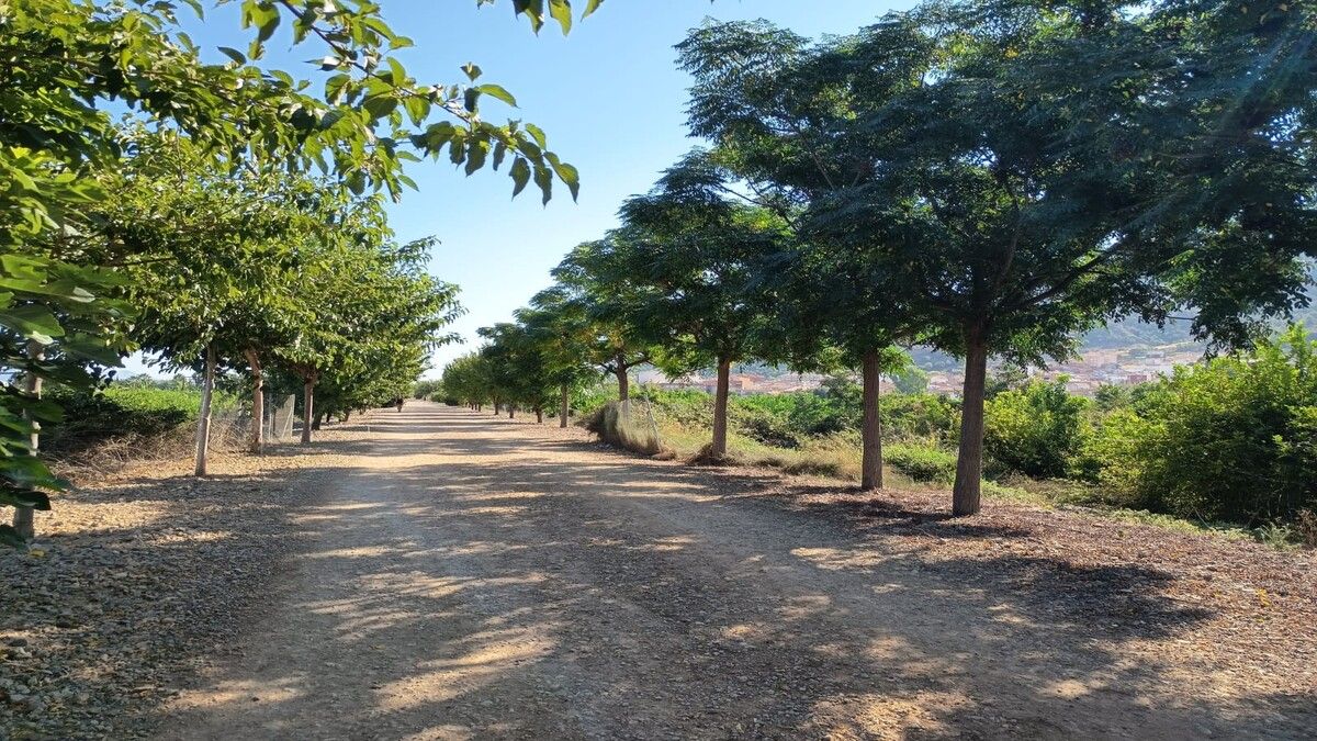 Vista exterior de Residencial en venta en  Murcia Capital