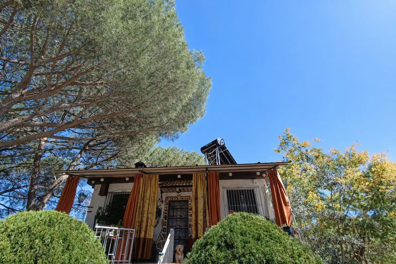 Vista exterior de Finca rústica en venda en Andújar amb Jardí privat i Terrassa