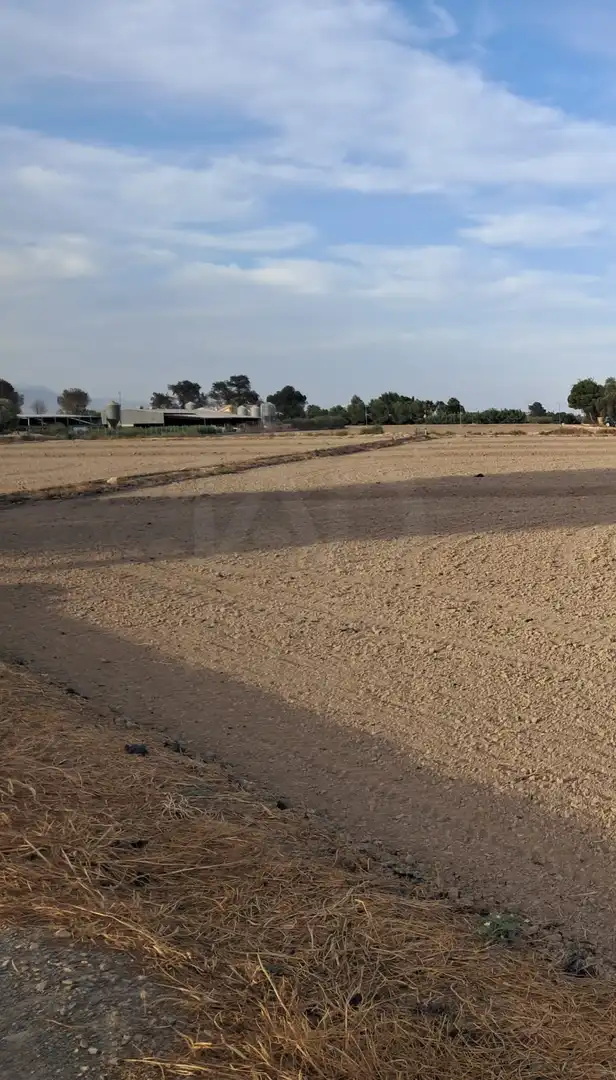 Lands and plots for sale in Pedanías Centro, imagen 28