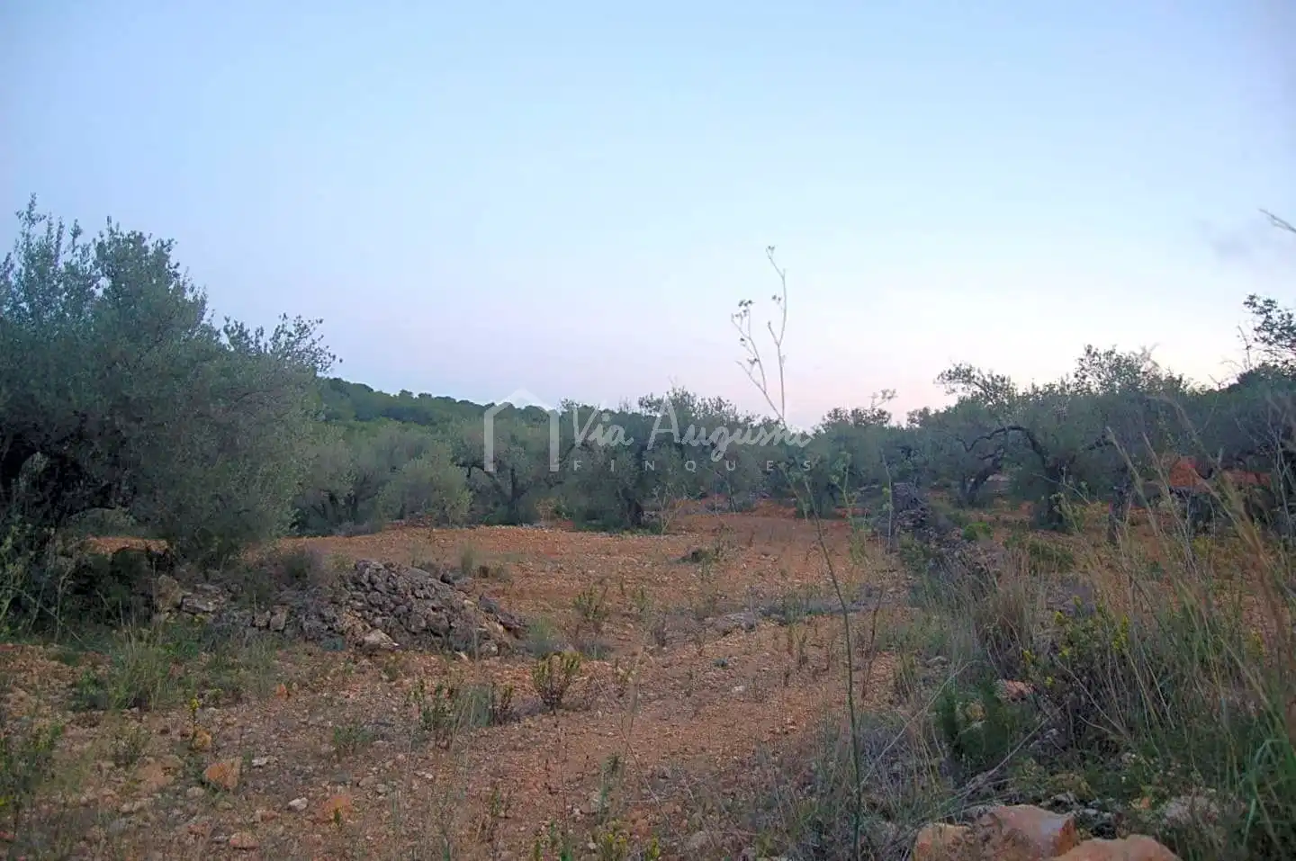 Terreno rustico in vendita a Suis, imagen 18