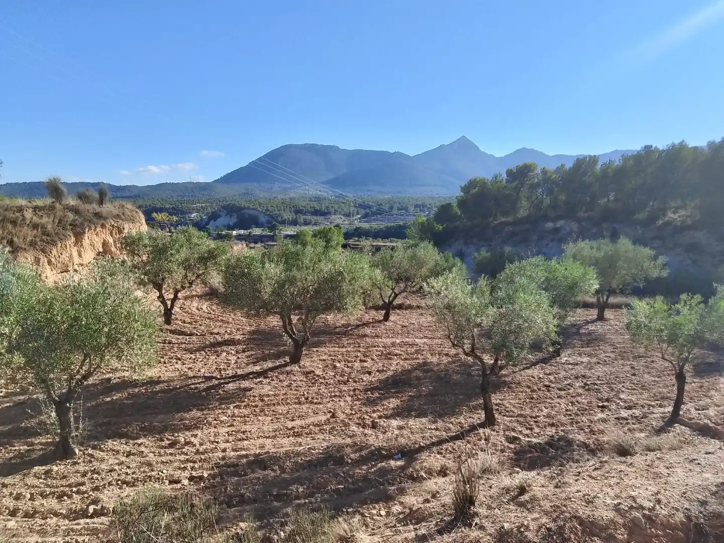 Terreny rústic en venda a Tibi, imagen 22
