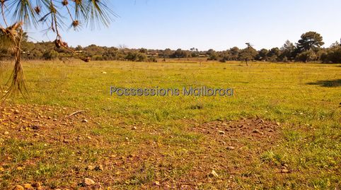 Foto 3 de Residencial en venda a Porto Pi, Palma de Mallorca