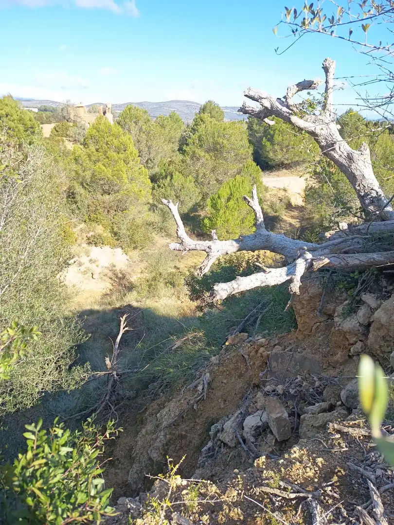 Finca rústica en venda en Ulldecona