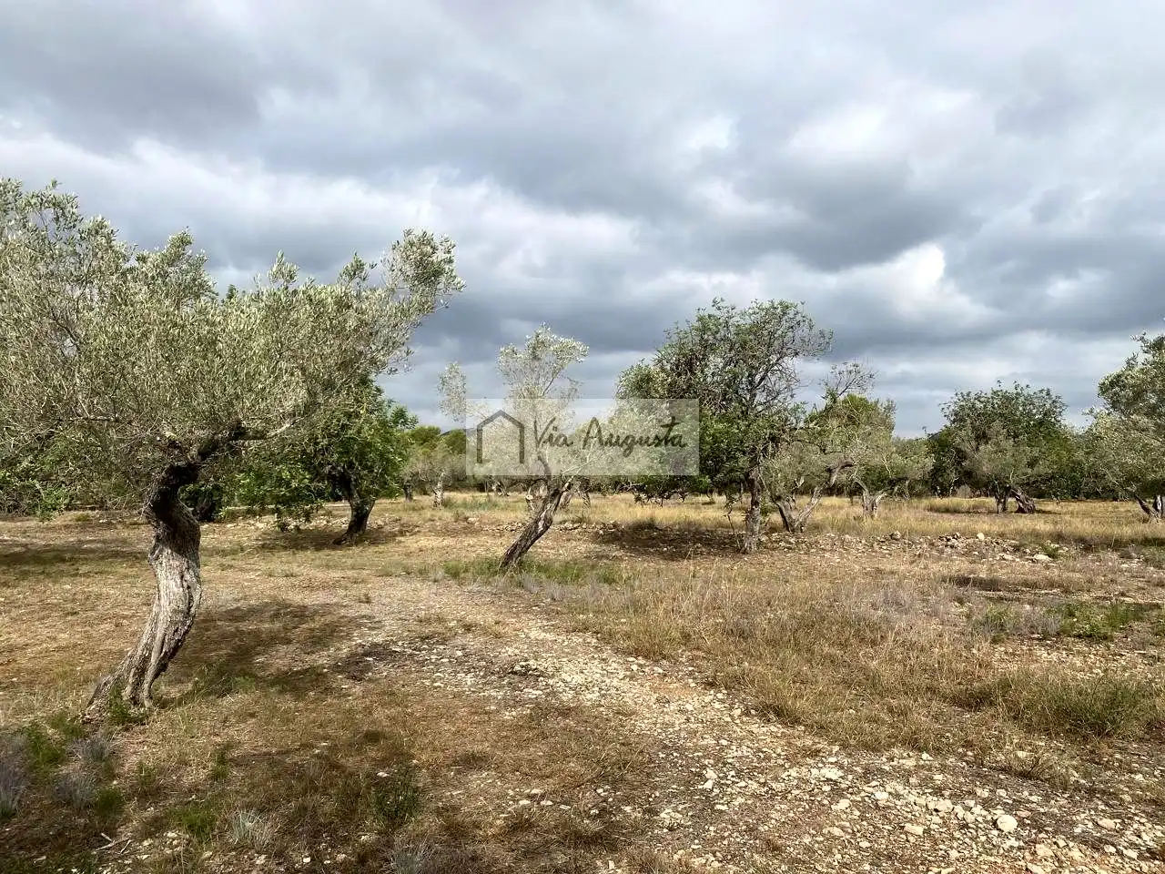 Terreno rustico in vendita a Mas de Baralluga, imagen 7