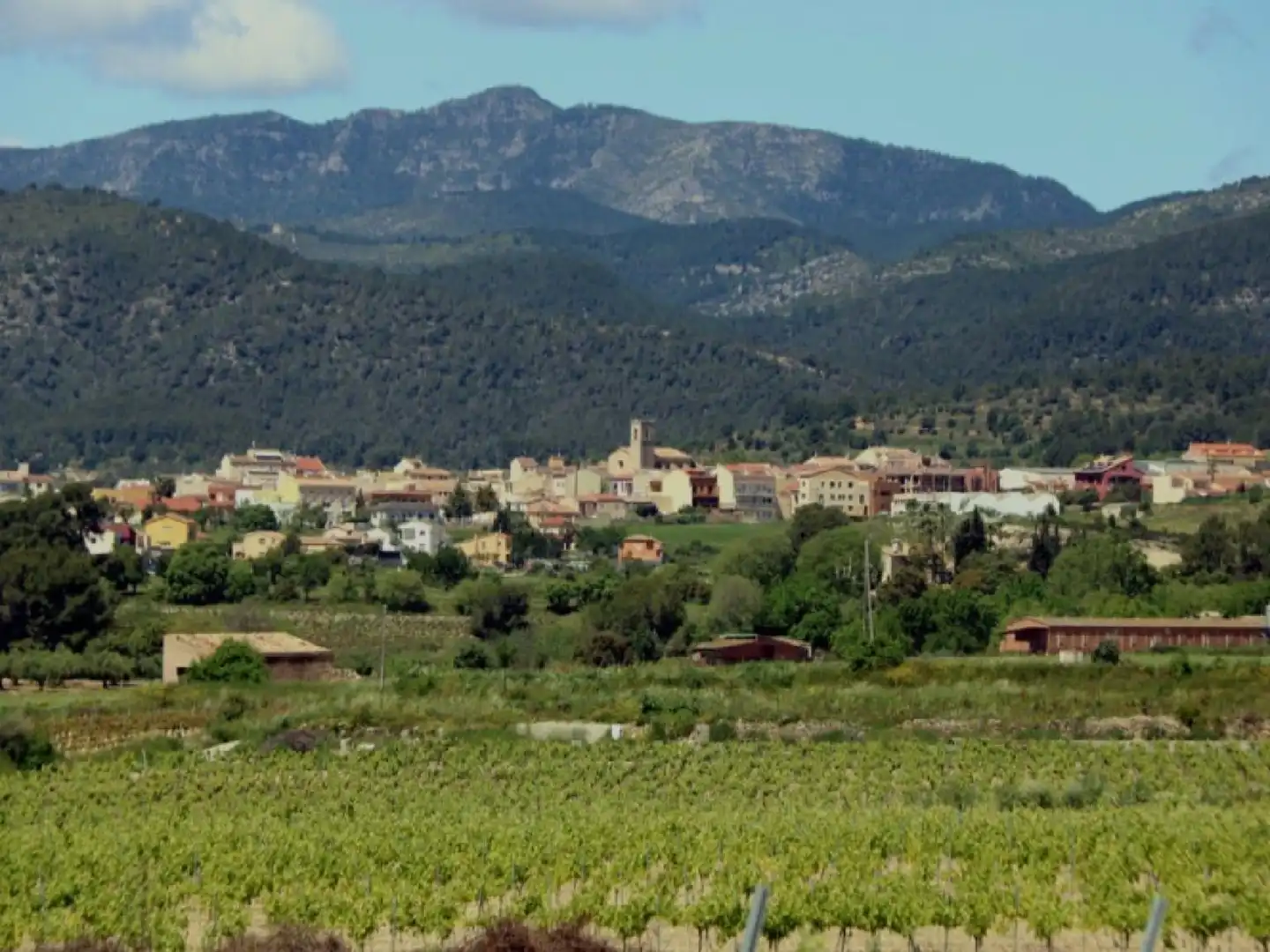 Casa o xalet en venda a Sant Jaume dels Domenys