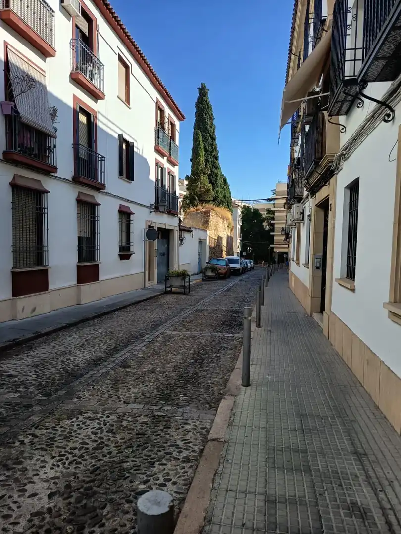 Individual for sale in Centro, imagen 10
