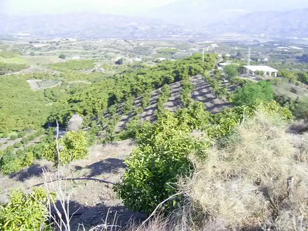Terrain rustique à vendre à Vélez-Málaga ciudad, imagen 6