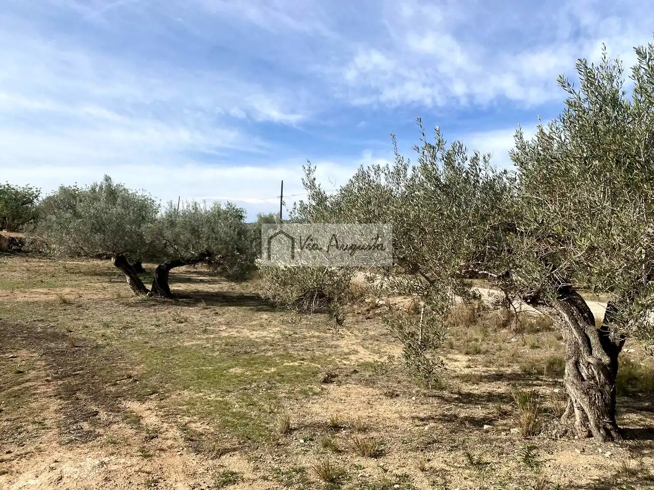 Terreno rustico in vendita a Planas, imagen 11
