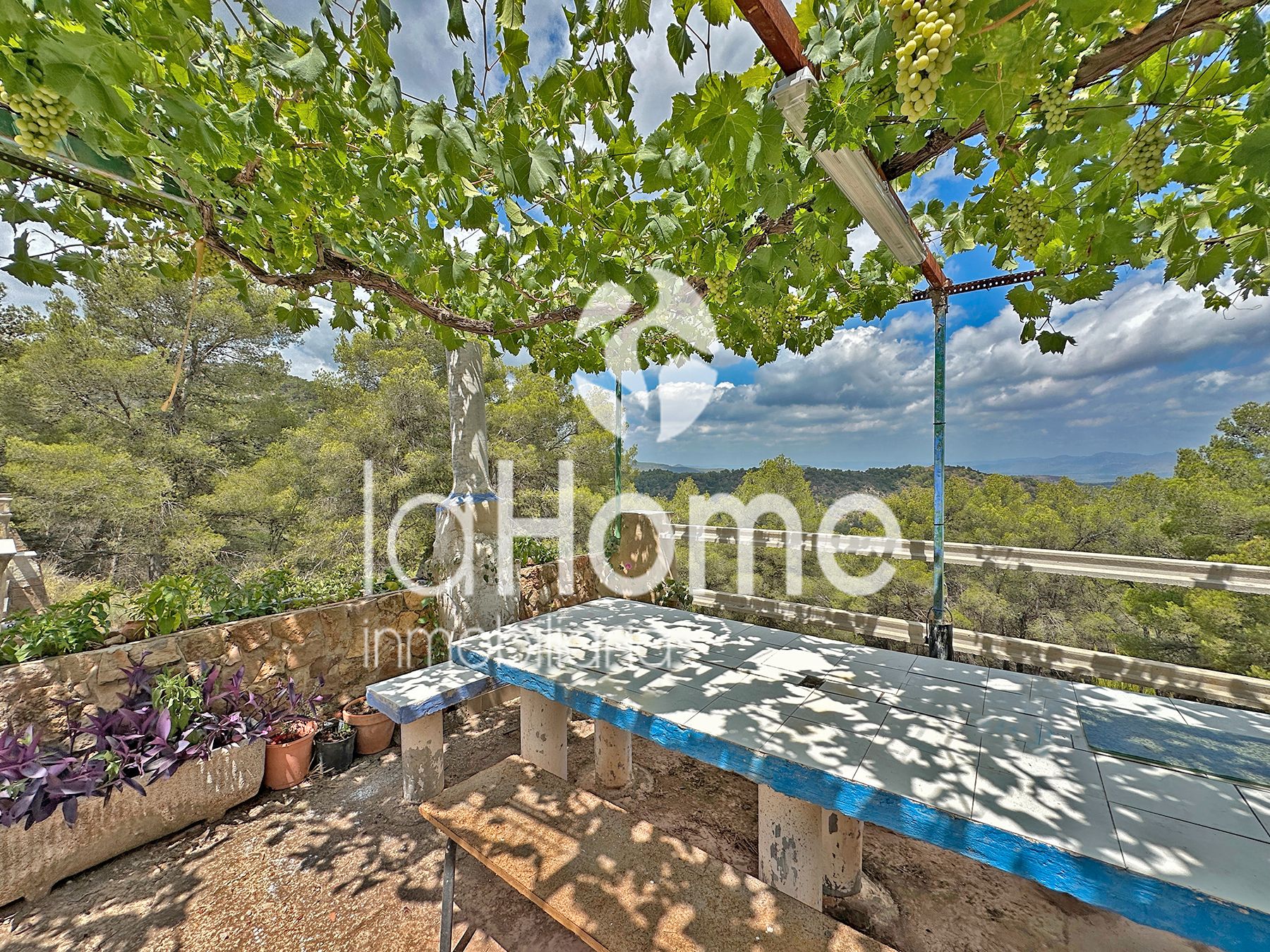 Finca rústica en venta