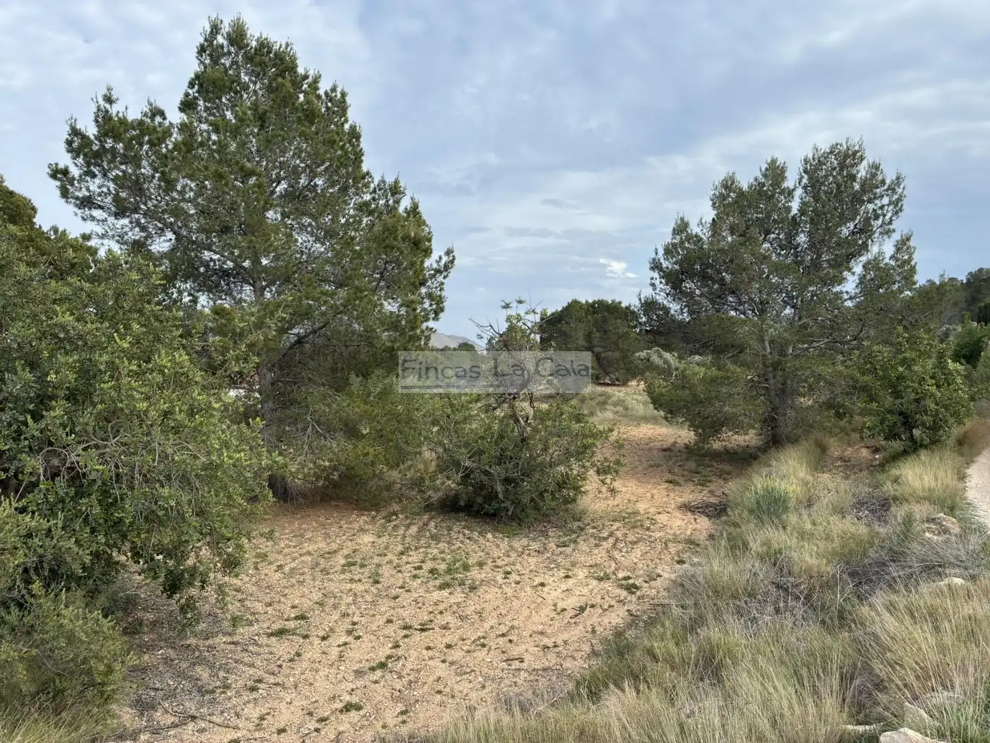 Casa rústica en venda a Finestrat Pueblo, imagen 14