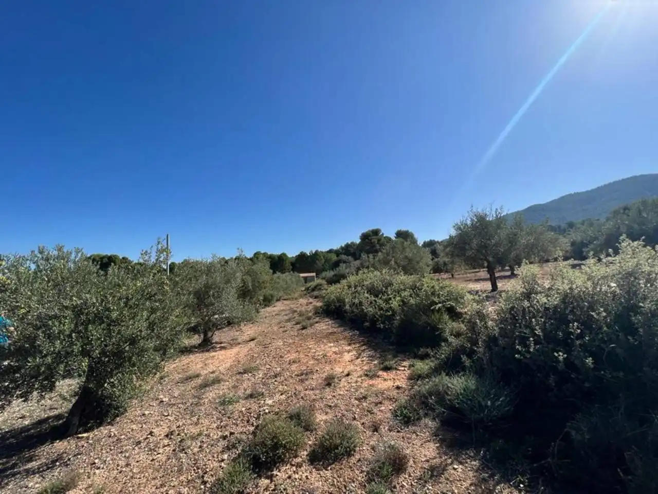 Chalet en venta en Banyeres de Mariola, imagen 2