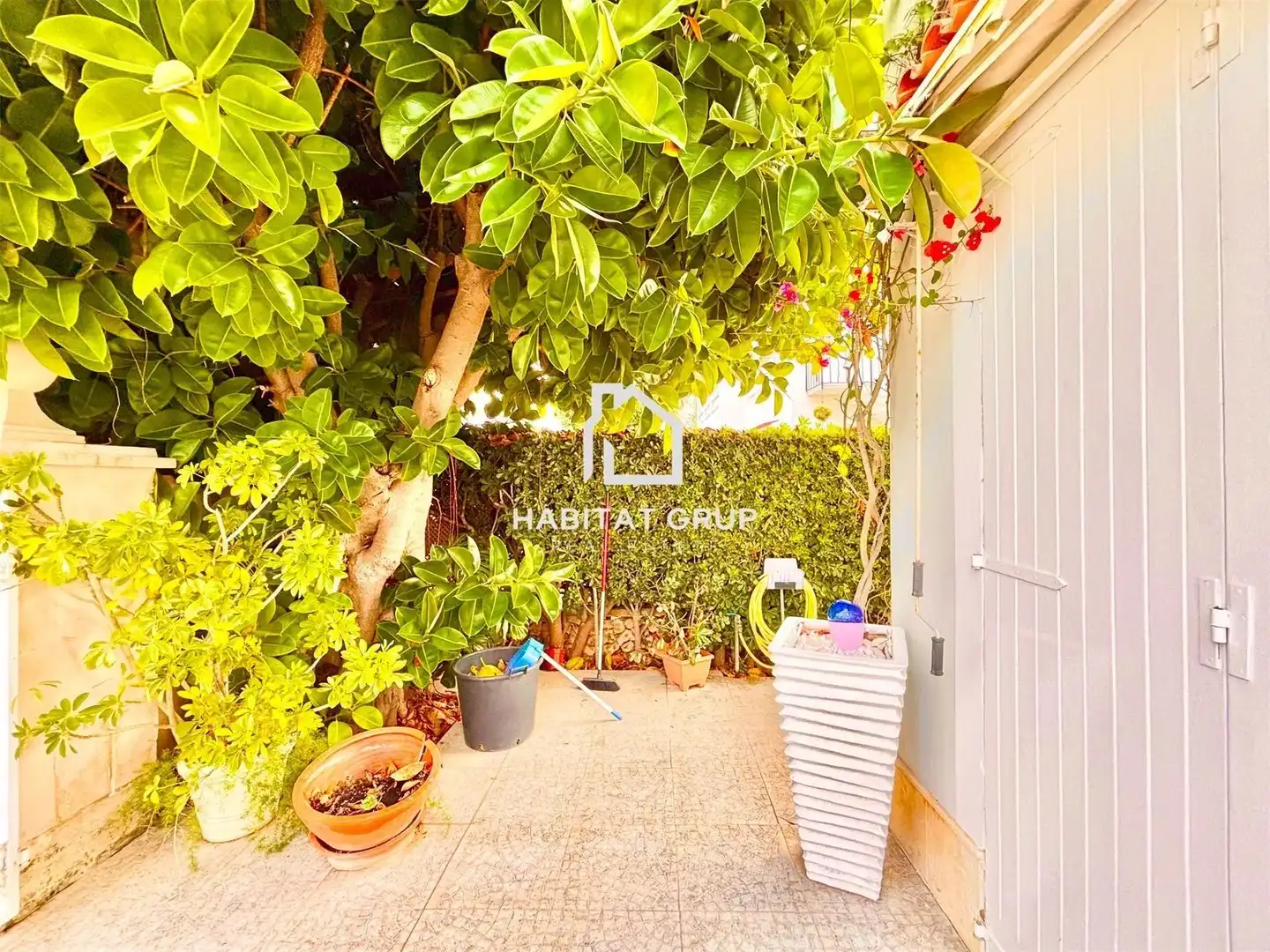 Jardí de Casa o xalet en venda en Ciutadella de Menorca amb Aire condicionat, Calefacció i Jardí privat