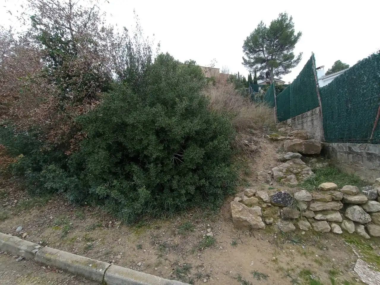 Terreny rústic en venda a Castellbell i el Vilar, imagen 8